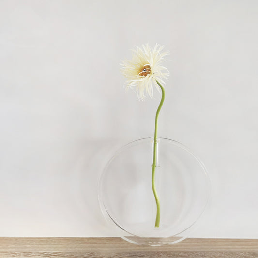 Acrylic Transparent Vase